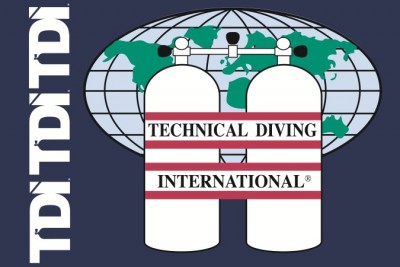 TDI_FLAG.jpg