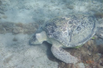 DSCF6216.jpg