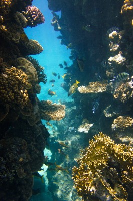 DSC06364-1res.jpg