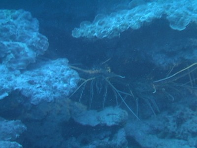 IMGA0386.JPG