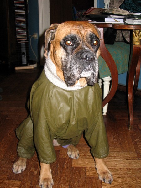 Basya2005_004-vi.jpg