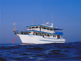 sea-world-1.jpg