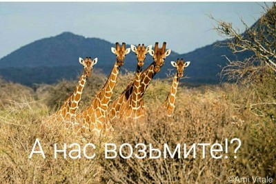 А нас.jpg