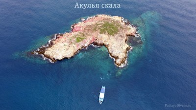 shark_rock_samaesan_pattaya_divers_diving_centre_акулья_скала_дайвинг_в_паттайе.jpg