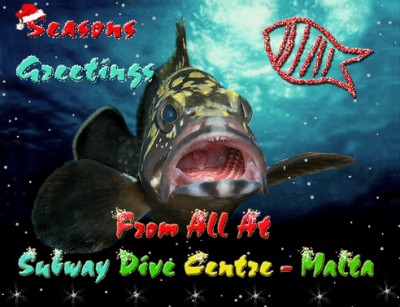 Seasons Greetings2008.jpg