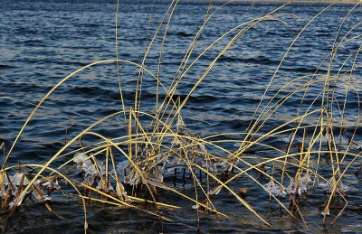 DSC_0104.jpg
