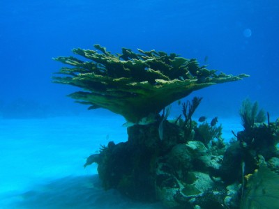 P2200252.jpg