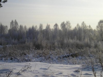 sP1050027.JPG