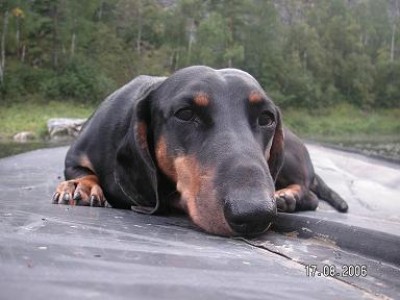 PICT0459.JPG