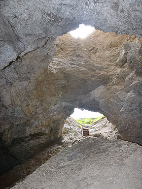 CRW_6195.jpg