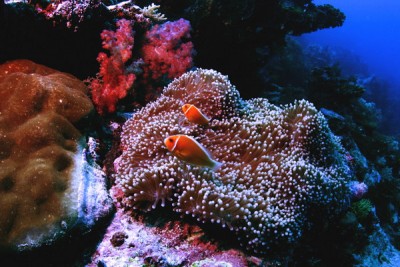 IMG_2920.jpg