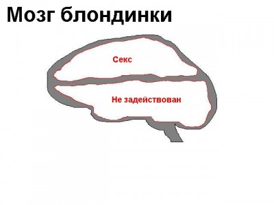 brainblond.jpg