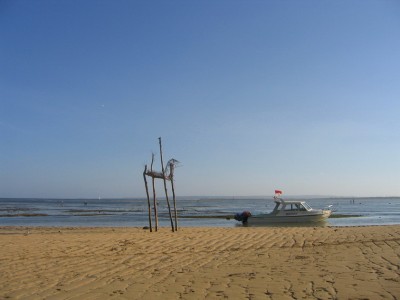 Shore_1_rs.jpg