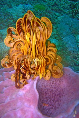 IMG_4892_2.jpg