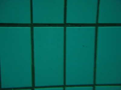 CIMG0240.jpg
