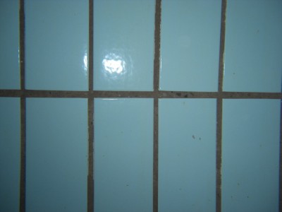 CIMG0238.jpg