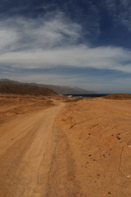 IMG_5299.jpg
