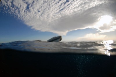 DSC_0117_н.jpg