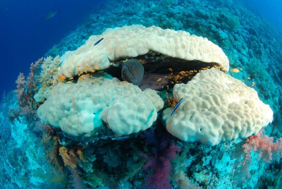 DSC_0083_н.jpg