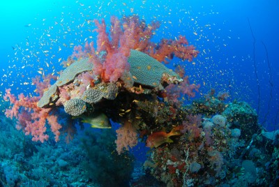 DSC_0112_н.jpg
