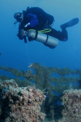 IMG_5599.jpg
