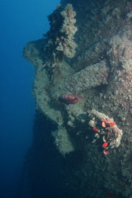 IMG_5593.jpg