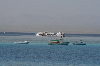 IMG_0579.jpg
