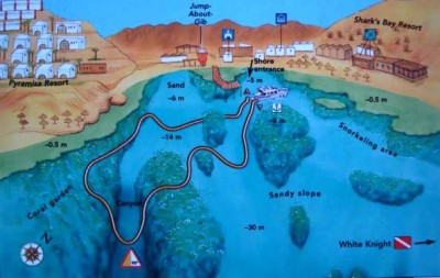 Shark Bay.jpg