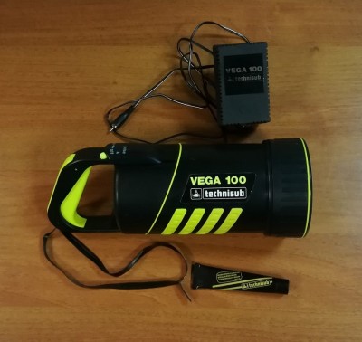 Vega_100.jpg