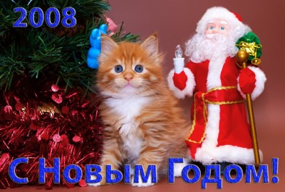 olym30.12.07_02.jpg