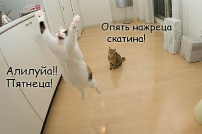806c73979a3f.jpg