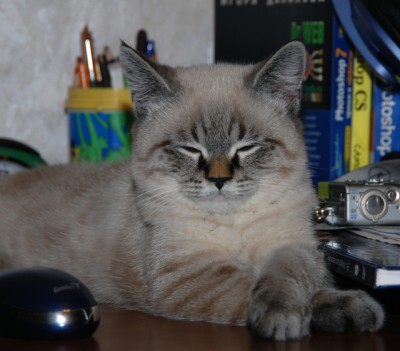 DSC_0017.JPG