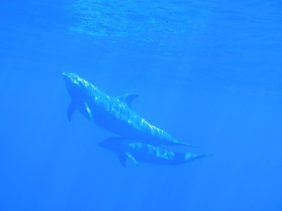 IMG_0590.JPG