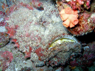 650x488-P8020142.jpg