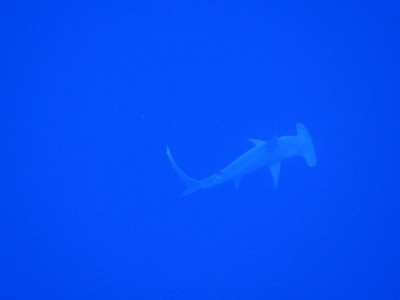IMG_0679.JPG
