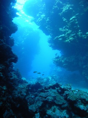 M0012211.jpg