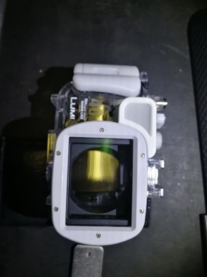 IMG_20201203_082723.jpg