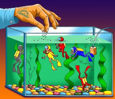 Kusto_aquarium.jpg