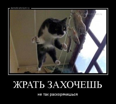 demotivatorium_ru_jrat__zahochesh__50131.jpg