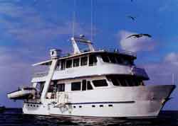 estrella-del-mar-yacht.jpg
