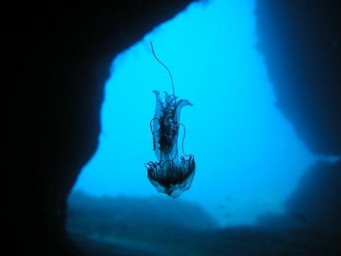 P1010051.JPG