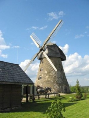 IMG_1574.jpg