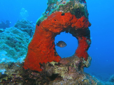 Turkey_2005_underwater_TV_2_small.jpg