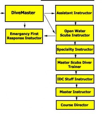 padi-table.jpg