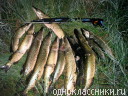 14 06 2008.jpeg