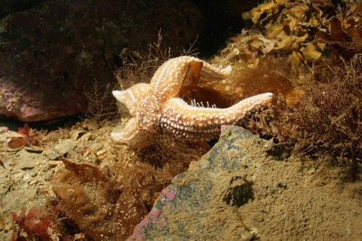 IMG_7478.jpg