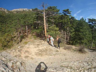 P9230039_новый размер.JPG
