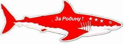 Акула 3.JPG