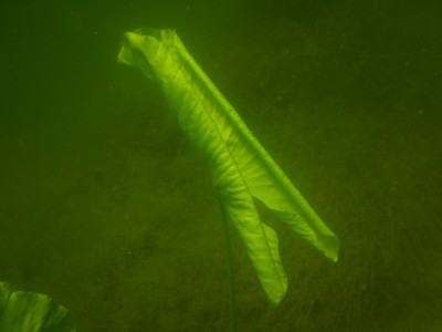 04.JPG