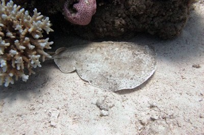 IMG_1946m.jpg